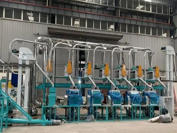 <a href=http://http://www.belaedu.com.cn/product/6/ target=_blank class=infotextkey>玉米加工機械</a>