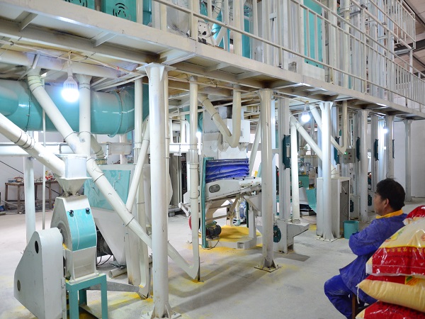 <a href=http://www.belaedu.com.cn/product/6/ target=_blank class=infotextkey>玉米加工設(shè)備</a>