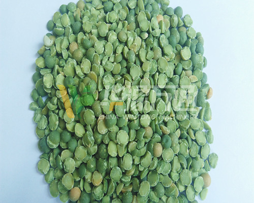 <a href=http://www.belaedu.com.cn/product/8/ target=_blank class=infotextkey>豌豆脫皮機</a>